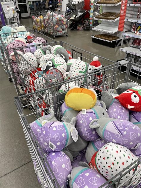 When is the next five below squishmallow drop - Oct 16, 2023 · Which Squishmallows are in the Five Below release from Sunday, Oct. 15, 2023? The latest release includes three new Hocus Pocus Squishmallows and three new Hello Kitty & Friends Squishmallows. They’re 6.5-inch size for $5.95. Winifred Sanderson Sarah Sanderson Mary Sanderson Hello Kitty (Frankenstein) Cinnamoroll (Jack-o’-Lantern) Kuromi (Skeleton) 